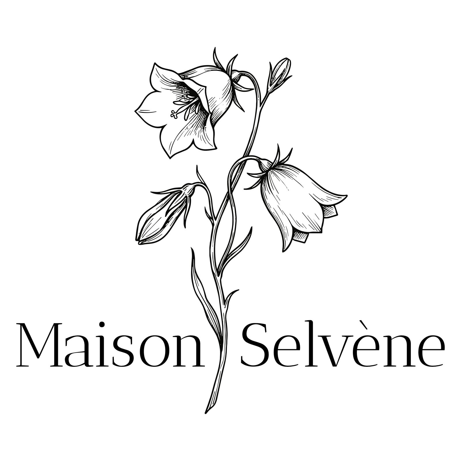Maison Selvène Logo